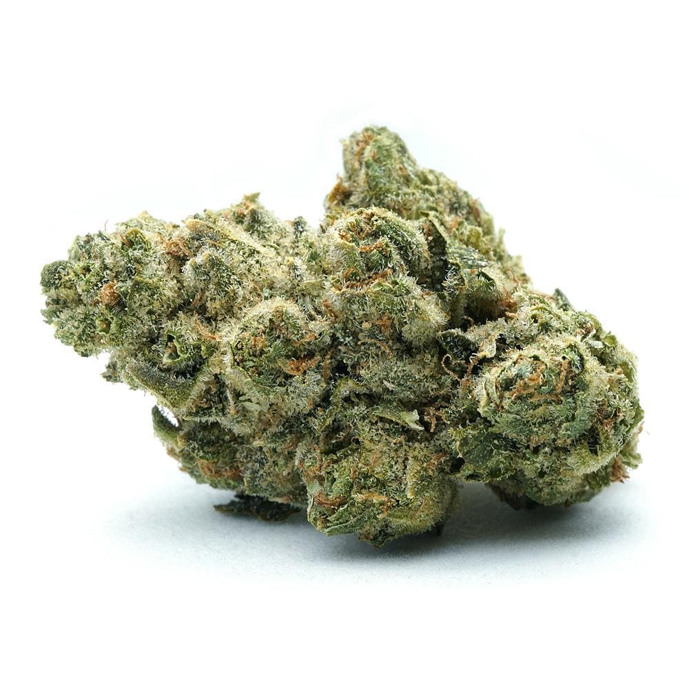 Raspberry Shortcake | Indoor