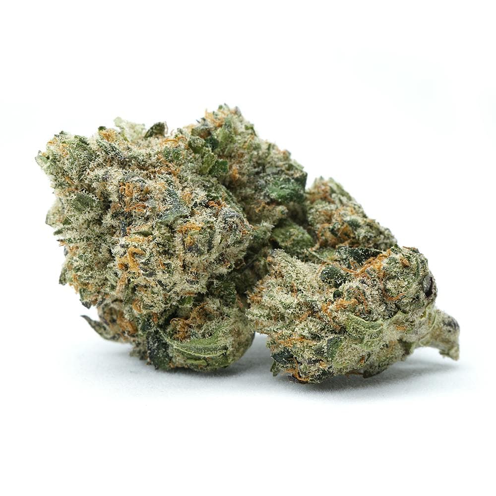 Gushers | Indoor