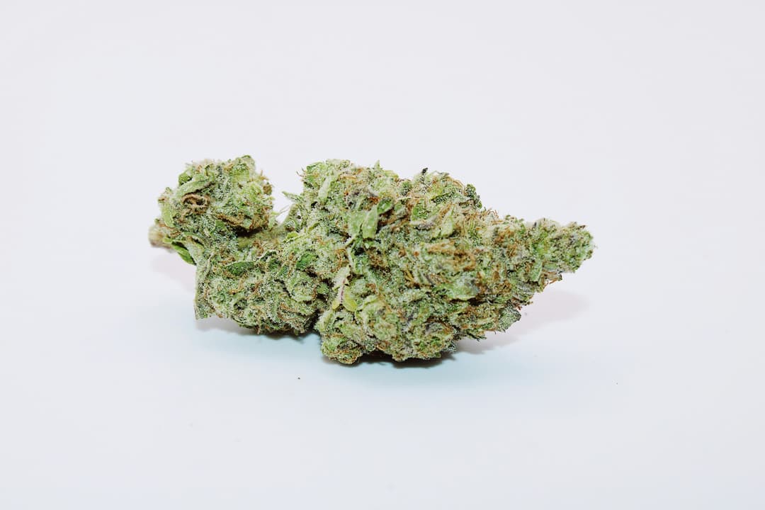 Gelato Jet Fuel Ounce/28.3Grams (31% THC, HYBRID)