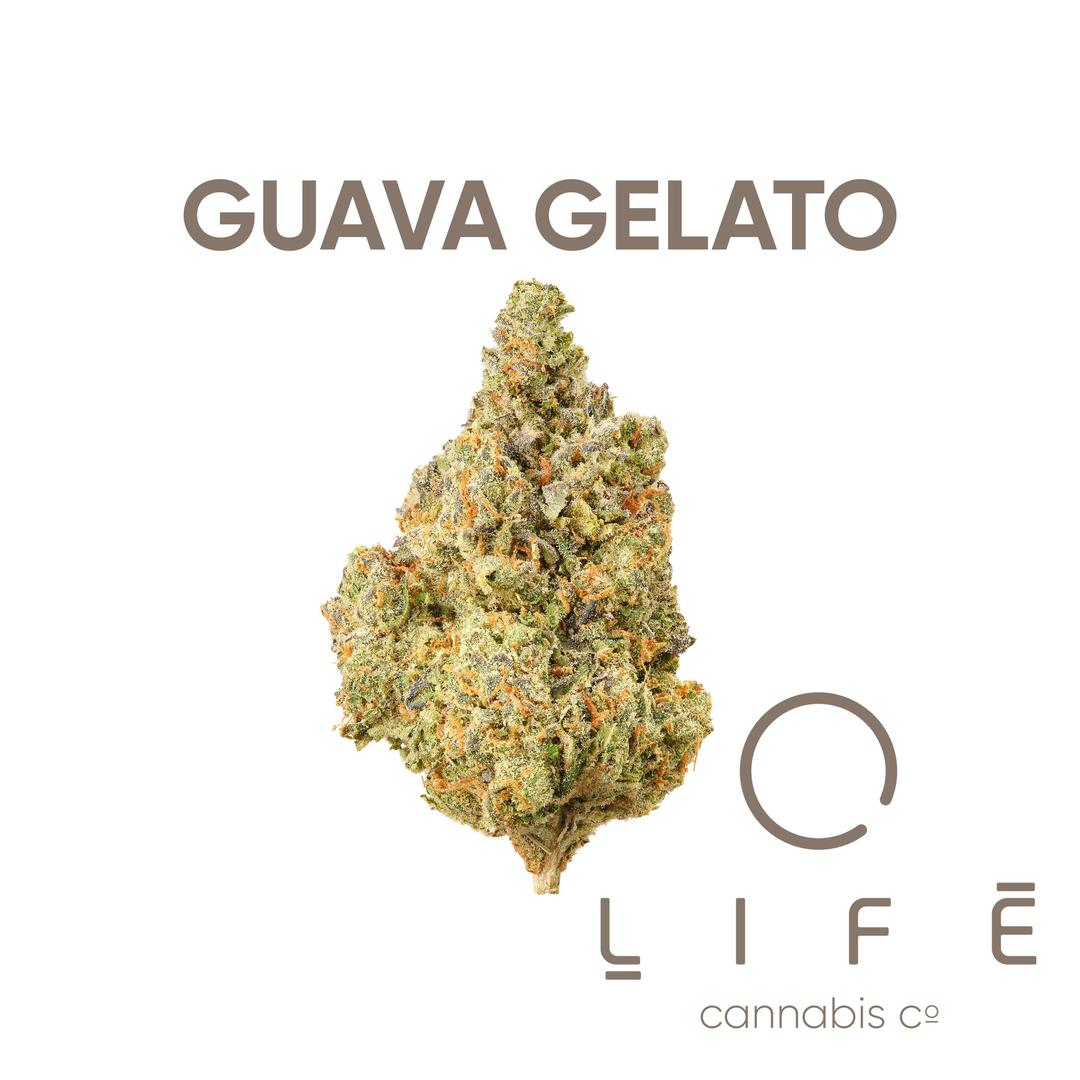 Guava Gelato