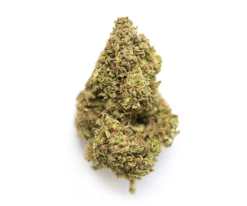 Gelonade | 3.5g Flower