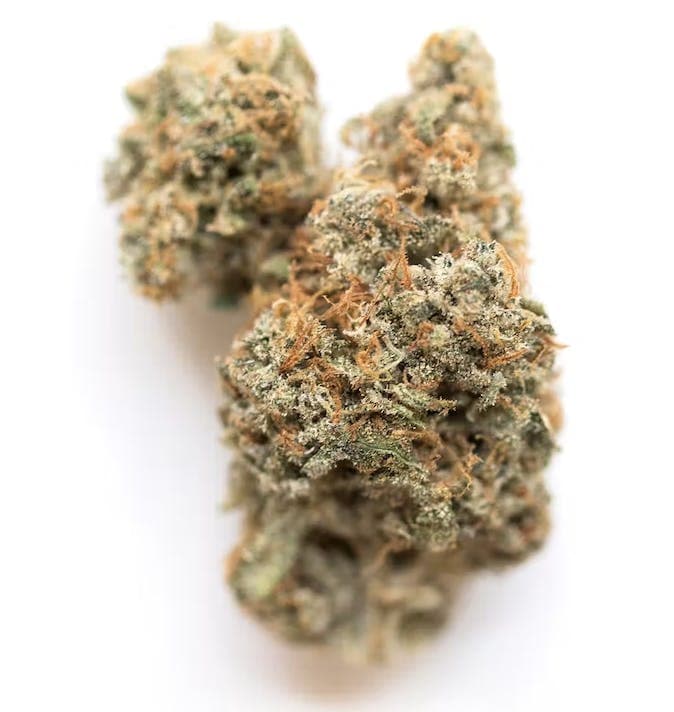 Georgia Pie | 3.5g Flower