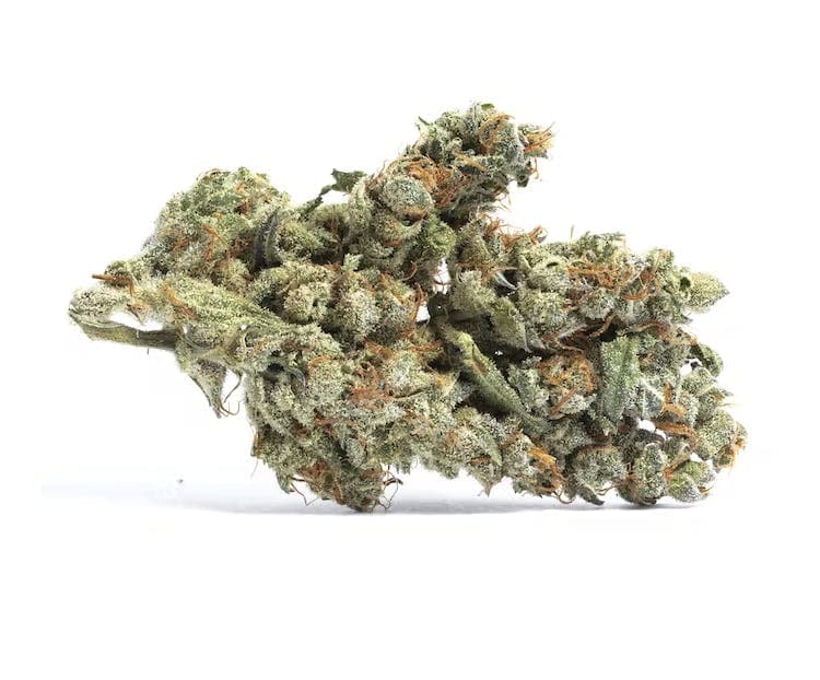 Blueberry Cookies | 3.5g Flower