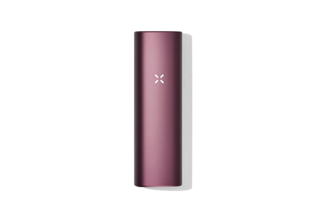 PAX Plus - Elderberry