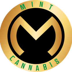 The Mint Cannabis - Northern Ave logo