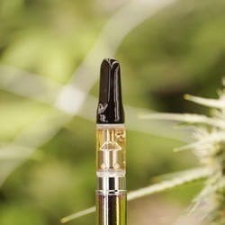 Black Beauty Distillate Cartridge