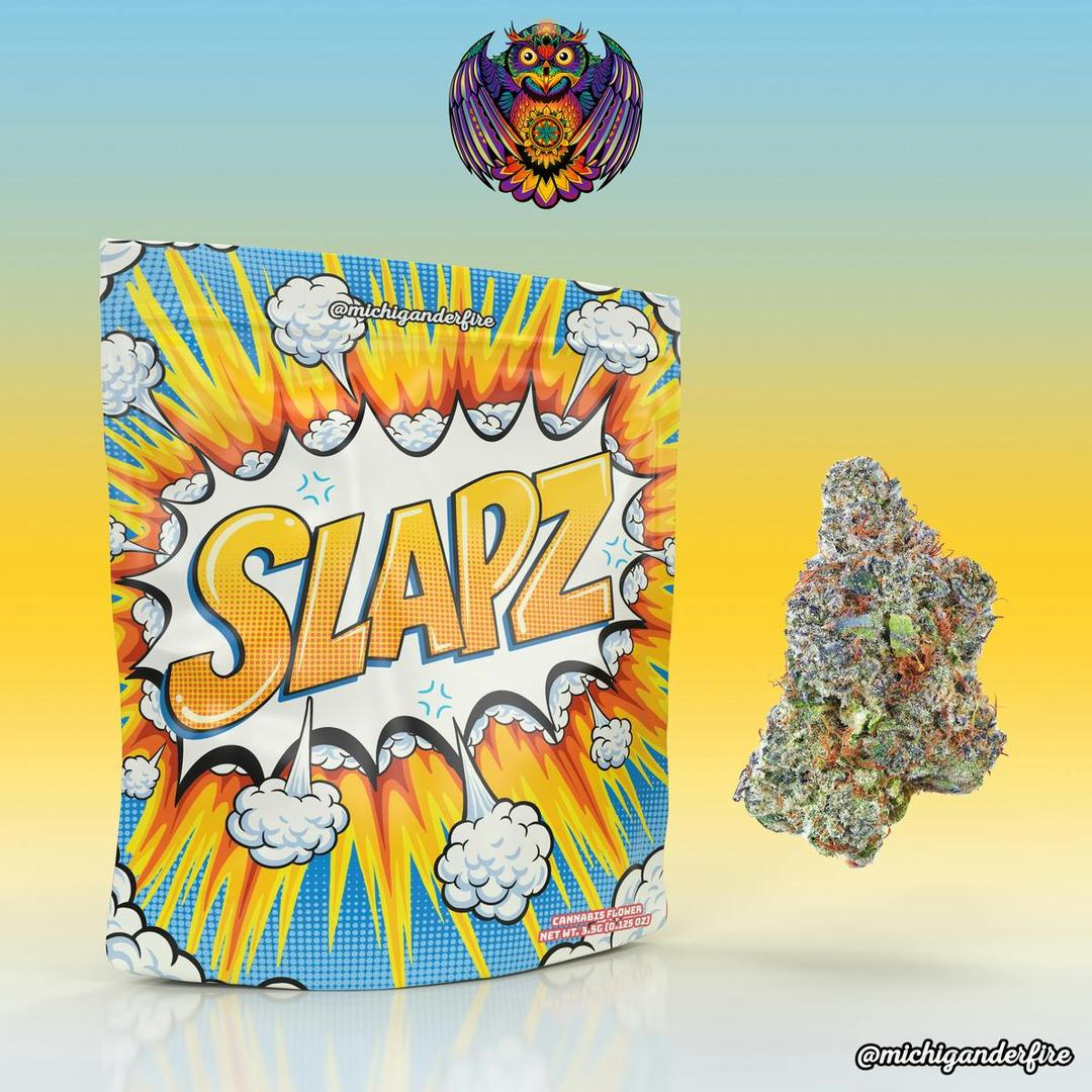 Michigander Fire - Slapz