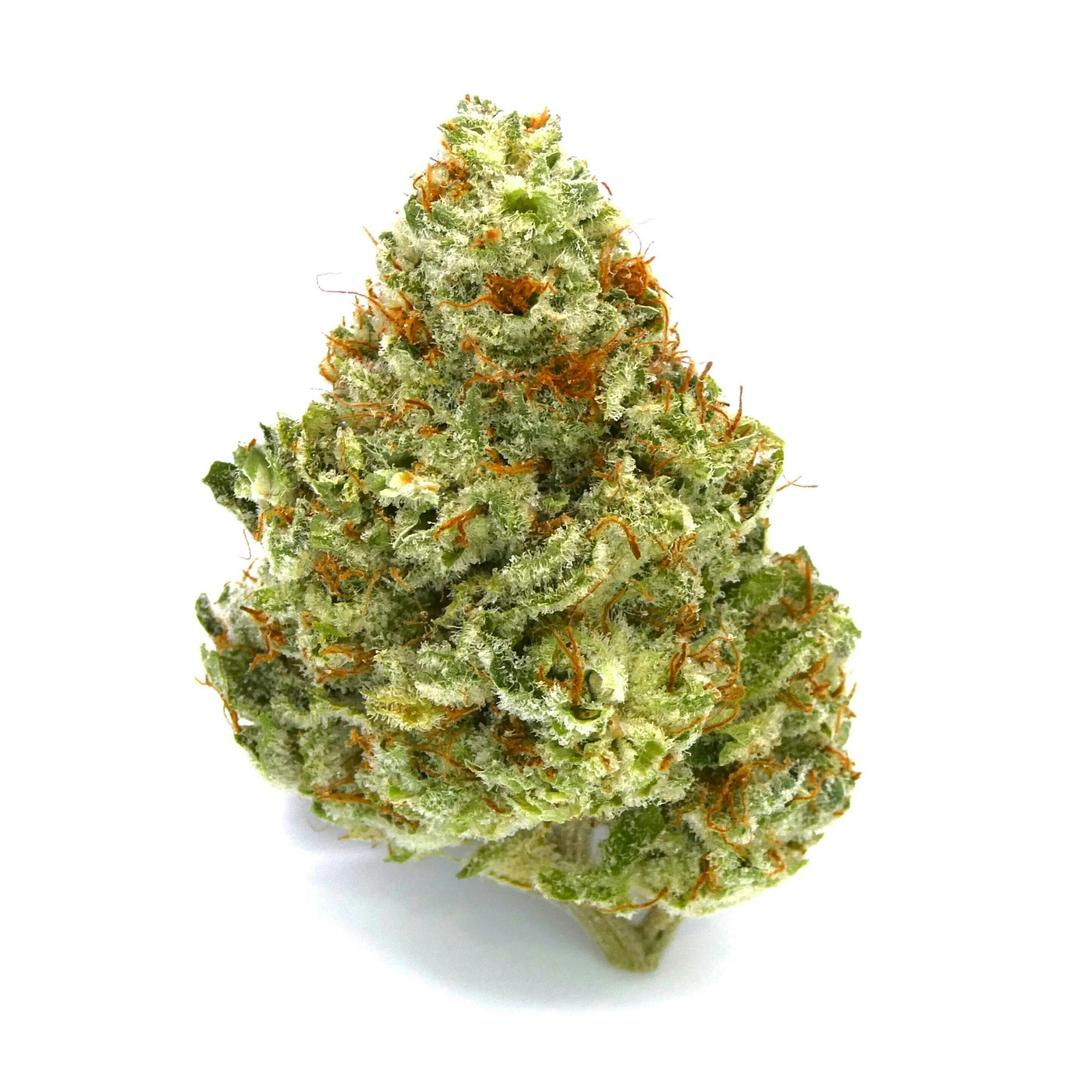 Papaya Cookies Buds