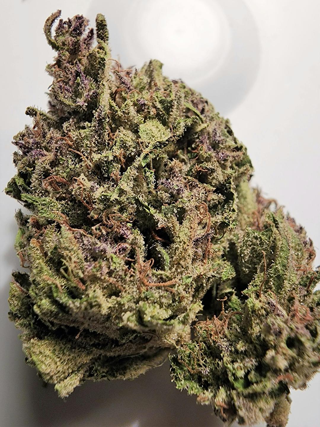 Ancient OG Project