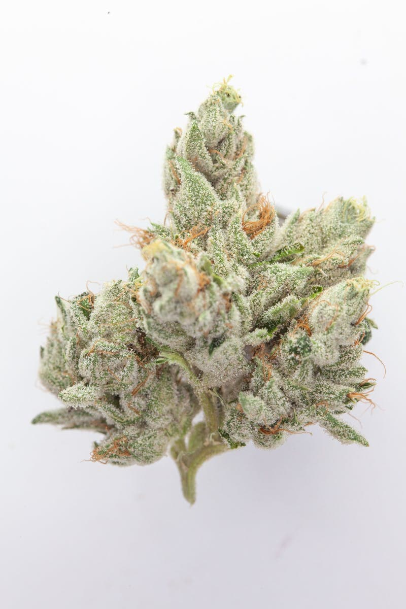 Casper OG