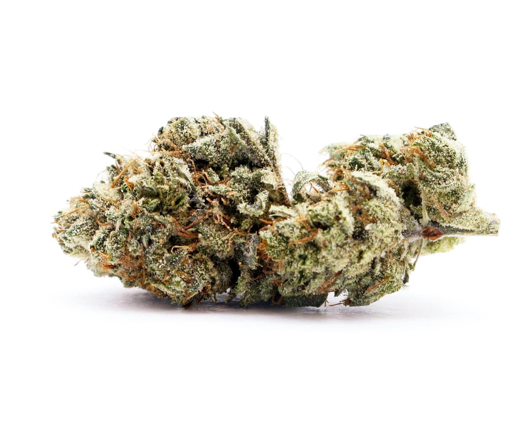 Chela - Indoor - NYC Piff