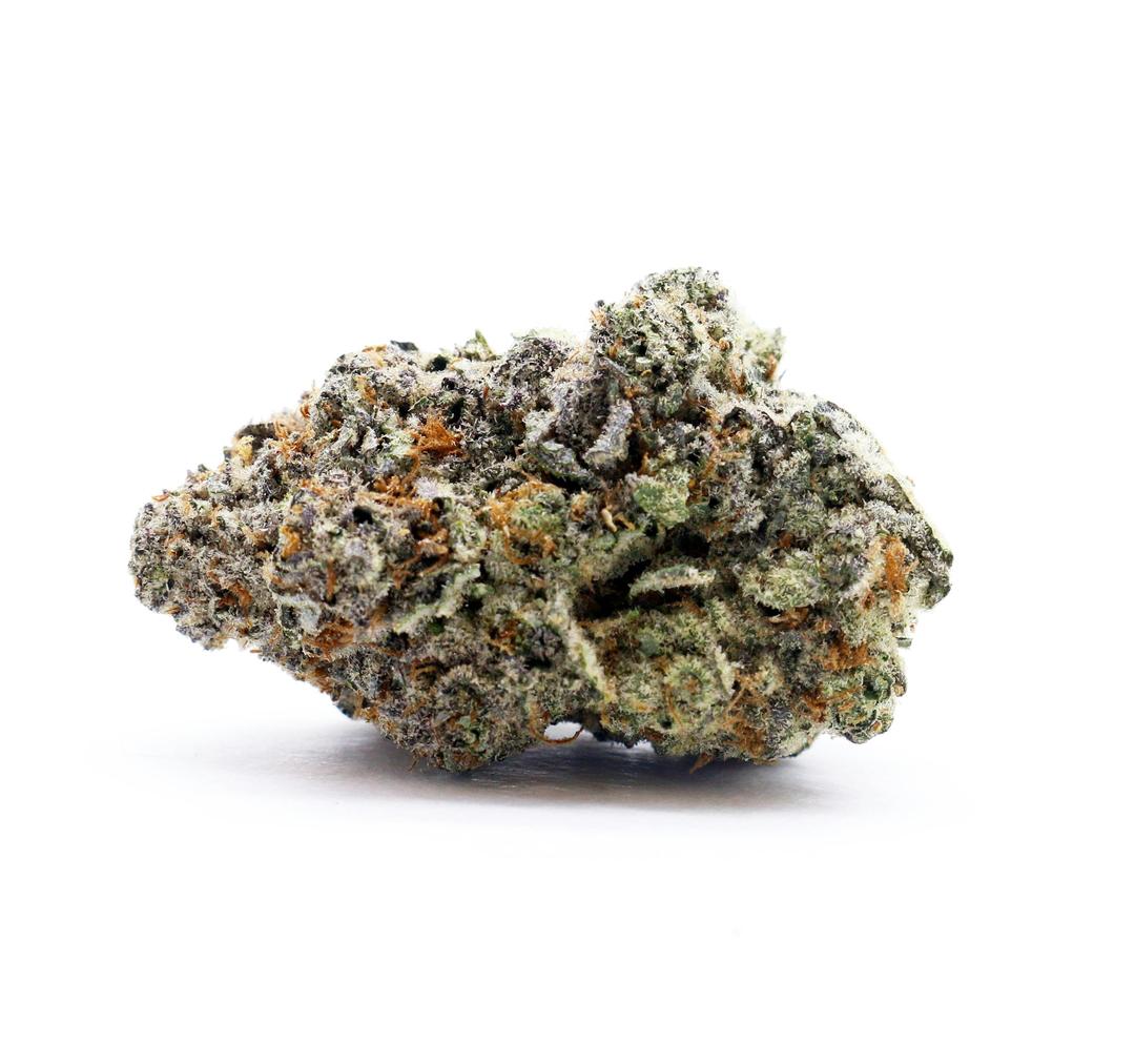 Chela - Indoor - Grandi Guava