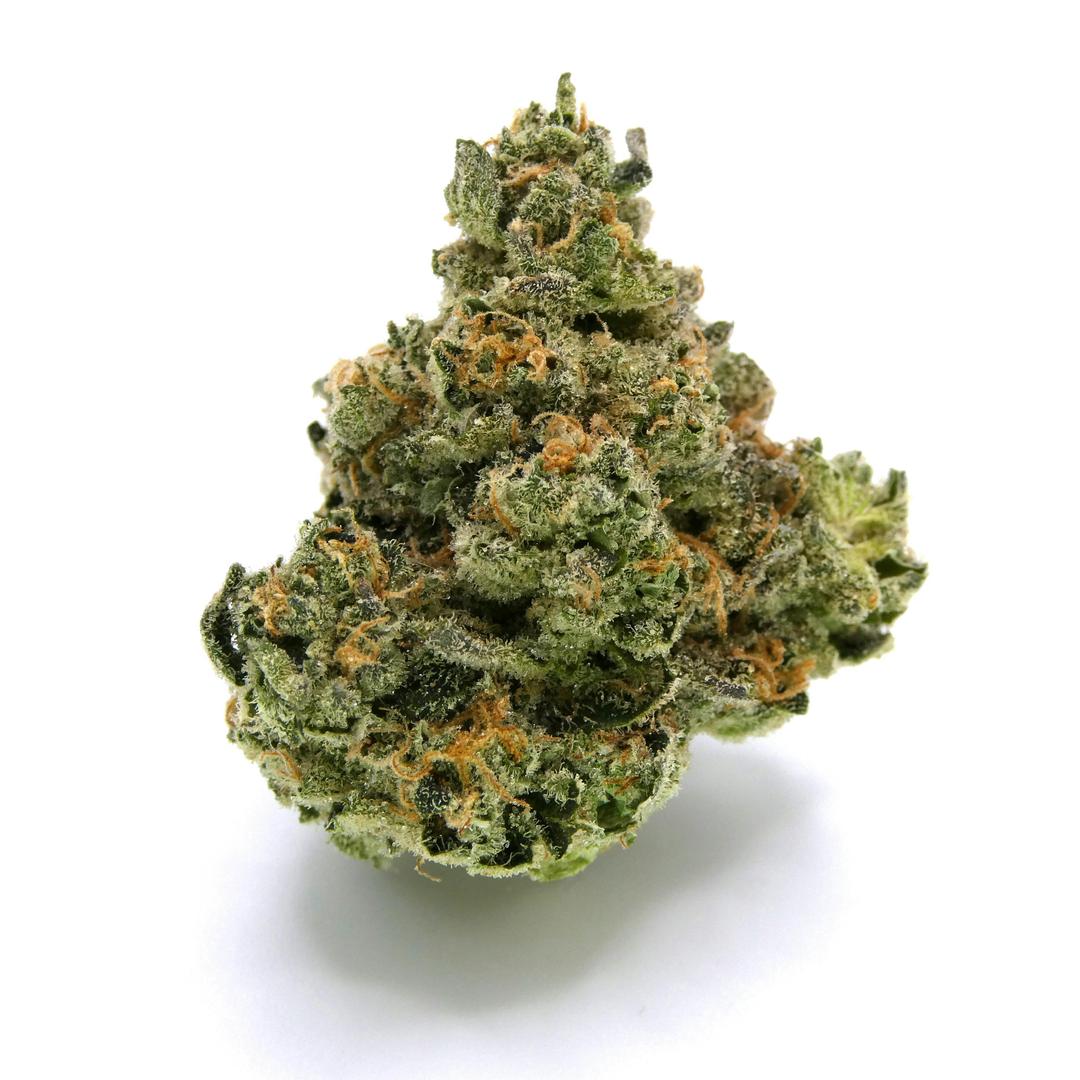 Tangie RNTZ Buds
