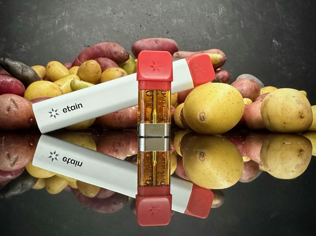 Forte Motif Vape Pod 1.0mL - Mashed Potatoes (MP)