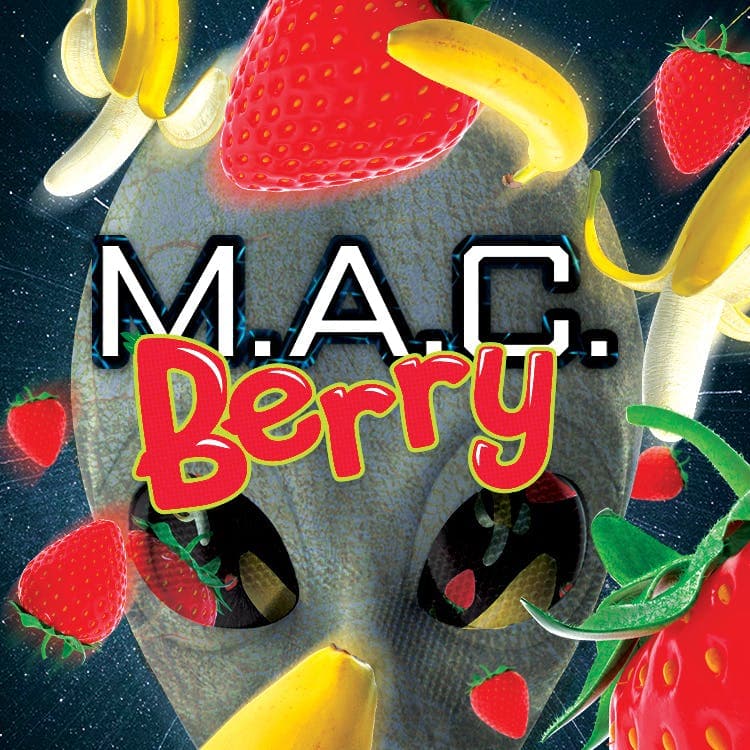 MAC Berry Bong Buddies