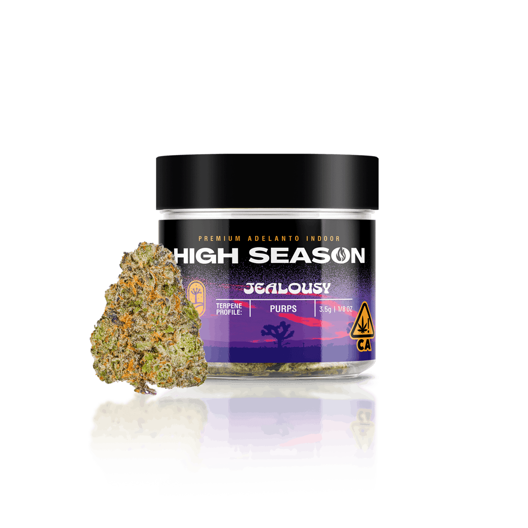 HIGH SEASON | Jealousy (indoor flower)