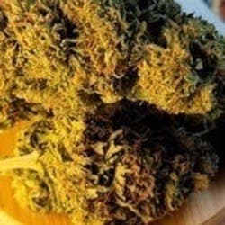 $75 Ounce of the Day - Doja Cookies SMALLS ONLY