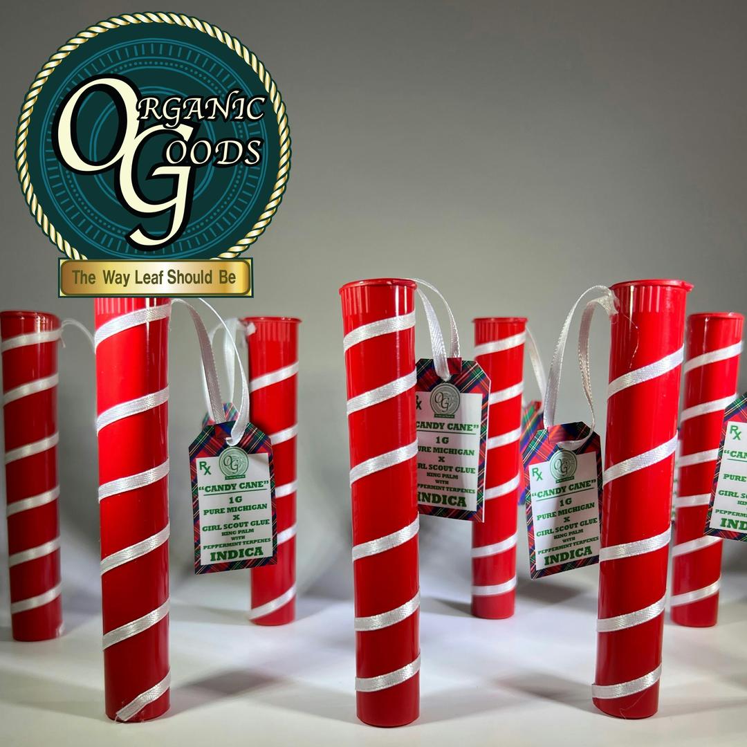 Candy Cane King Palm w/ Terpenes Pure Michigan x GSG 1g