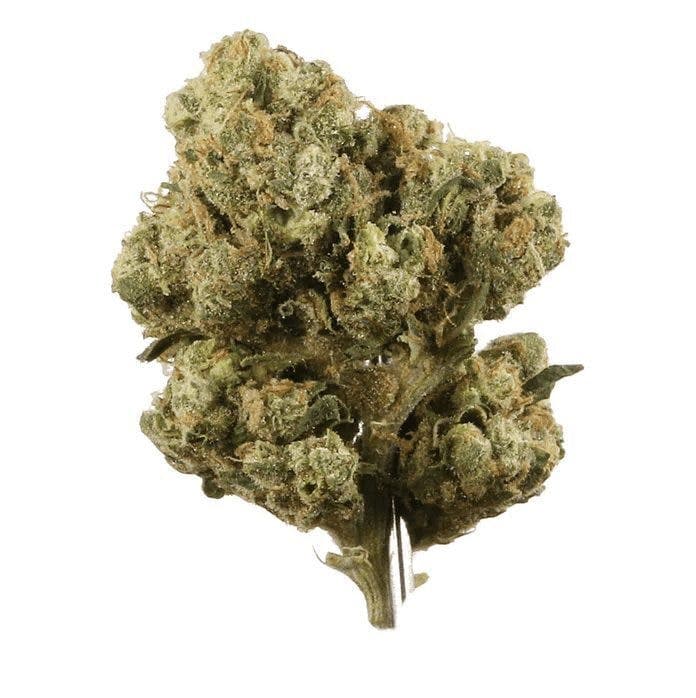 Sour Diesel