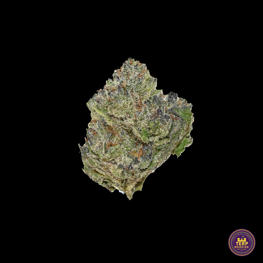 White Oreoz Indoor Flower (3.5 Grams)