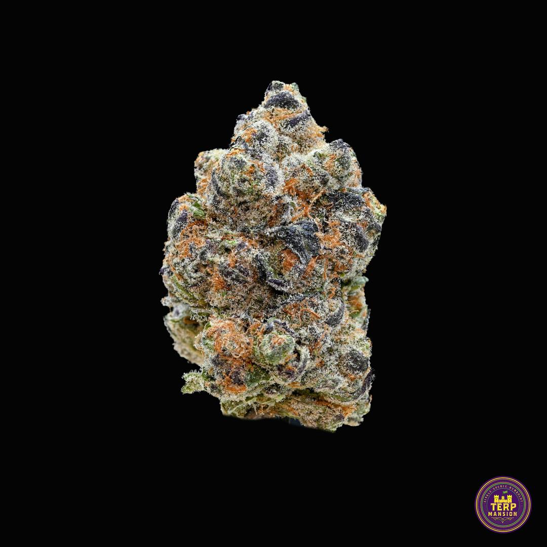 Poddy Mouth Indoor Flower (3.5 grams)