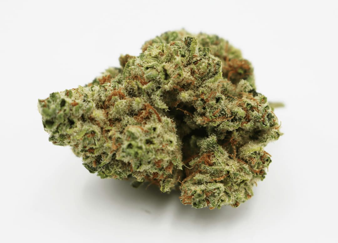 Candy Cream Flower