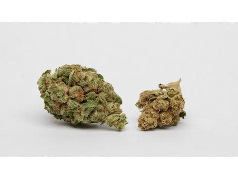 Afghani