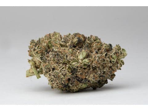 Apple Fritter