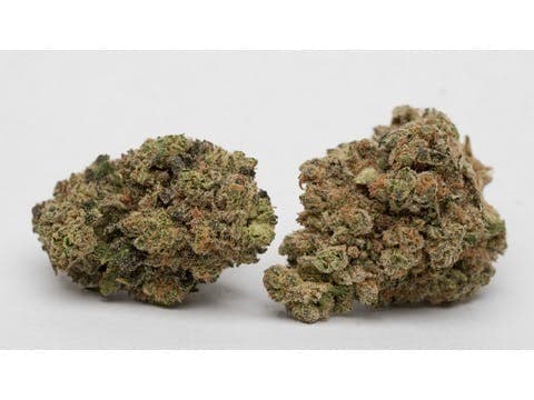 Blueberry Headband