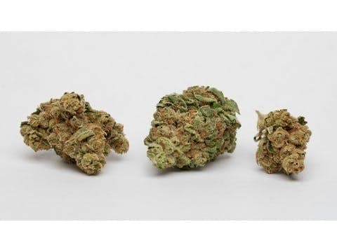 Gelato 33