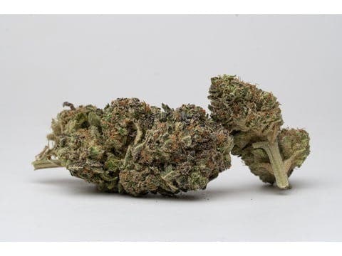 Lemon Cherry Gelato