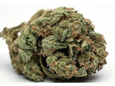 Skywalker OG