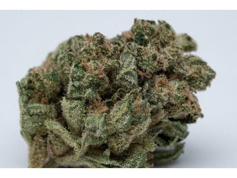 Sugar Apple