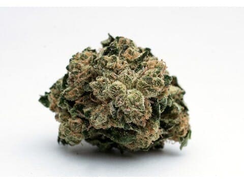 Triangle Kush Gelato
