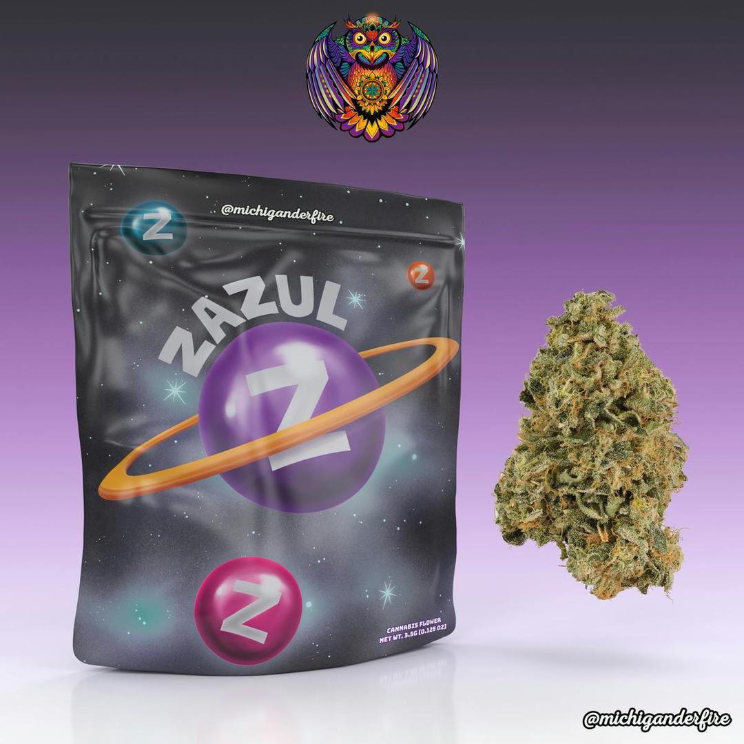 Michigander Fire - Zazul