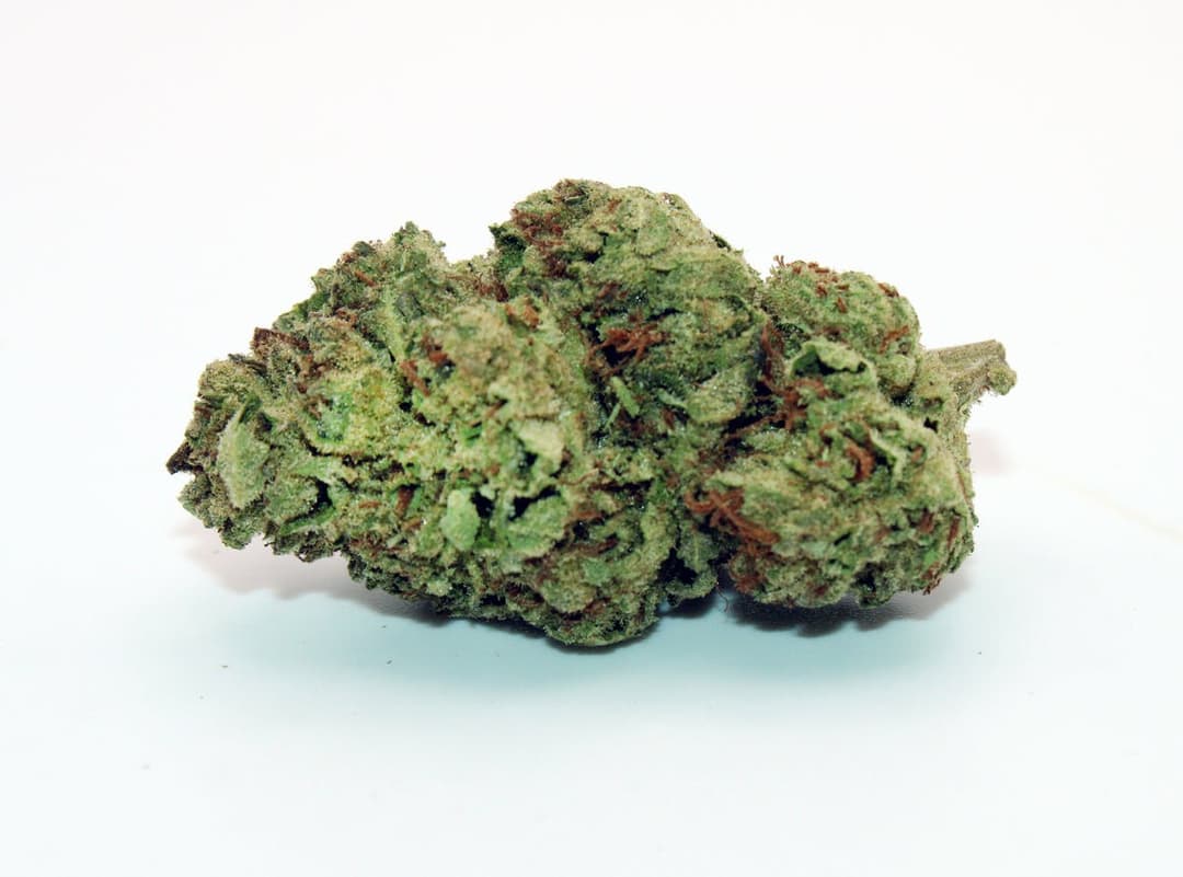 Wakanda 1 Gram (33%THC, Hybrid)