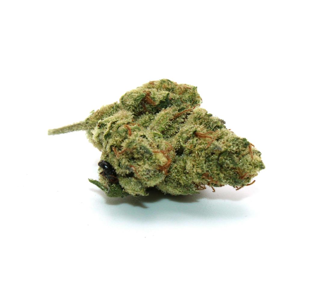 Cheetah Piss 8th/3.5Grams(26%THC,Hybrid)