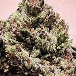 $100 Ounce of the Day - Lil' Wayne