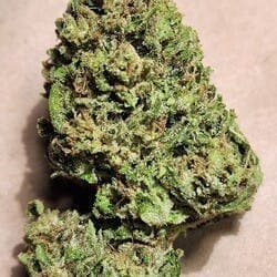 $100 Ounce of the Day - Enchanted Rose