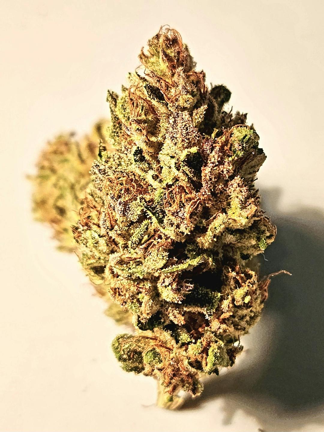 $100 Ounce of the Day - Jagerschnitzel OG