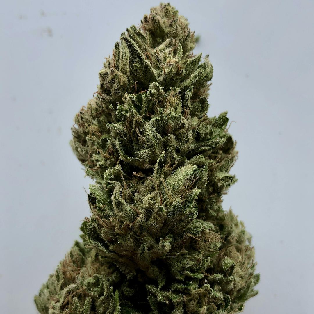 $100 Ounce of the Day - Yosemite Glue