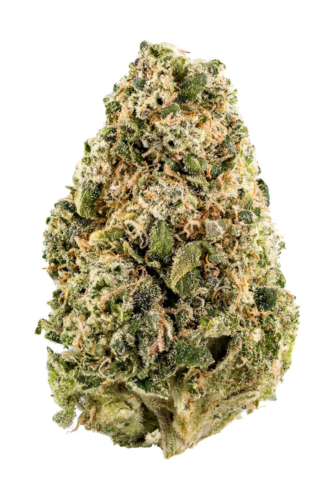 Chem Fuego