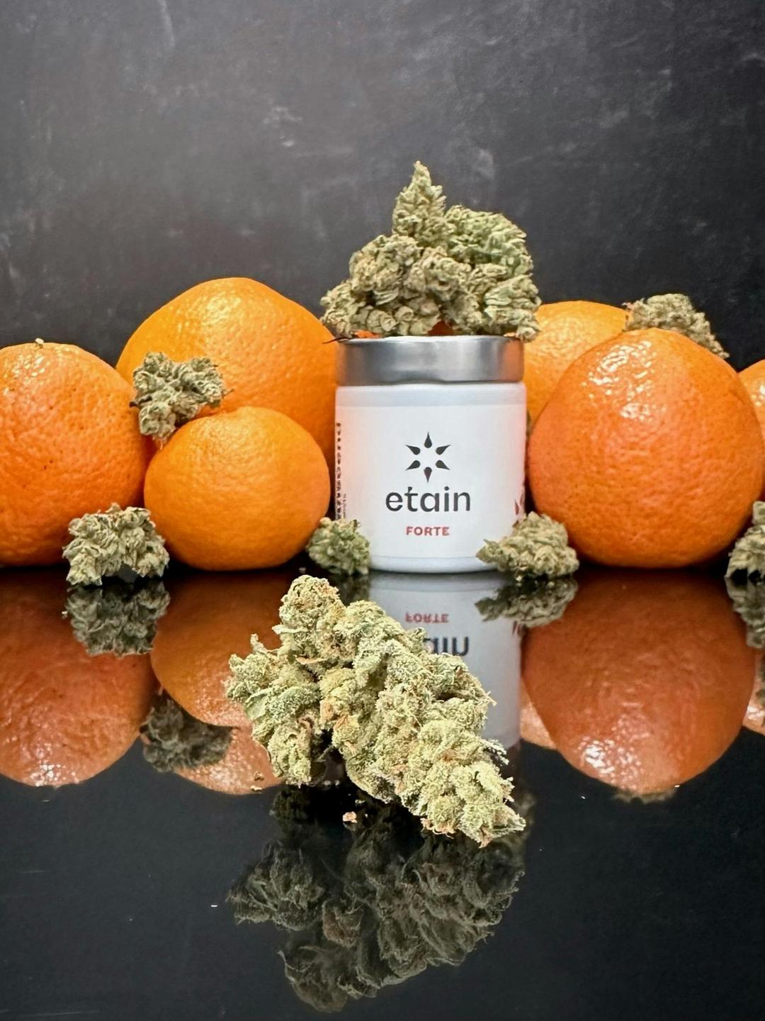 Forte Whole Flower - California Orange (CO)