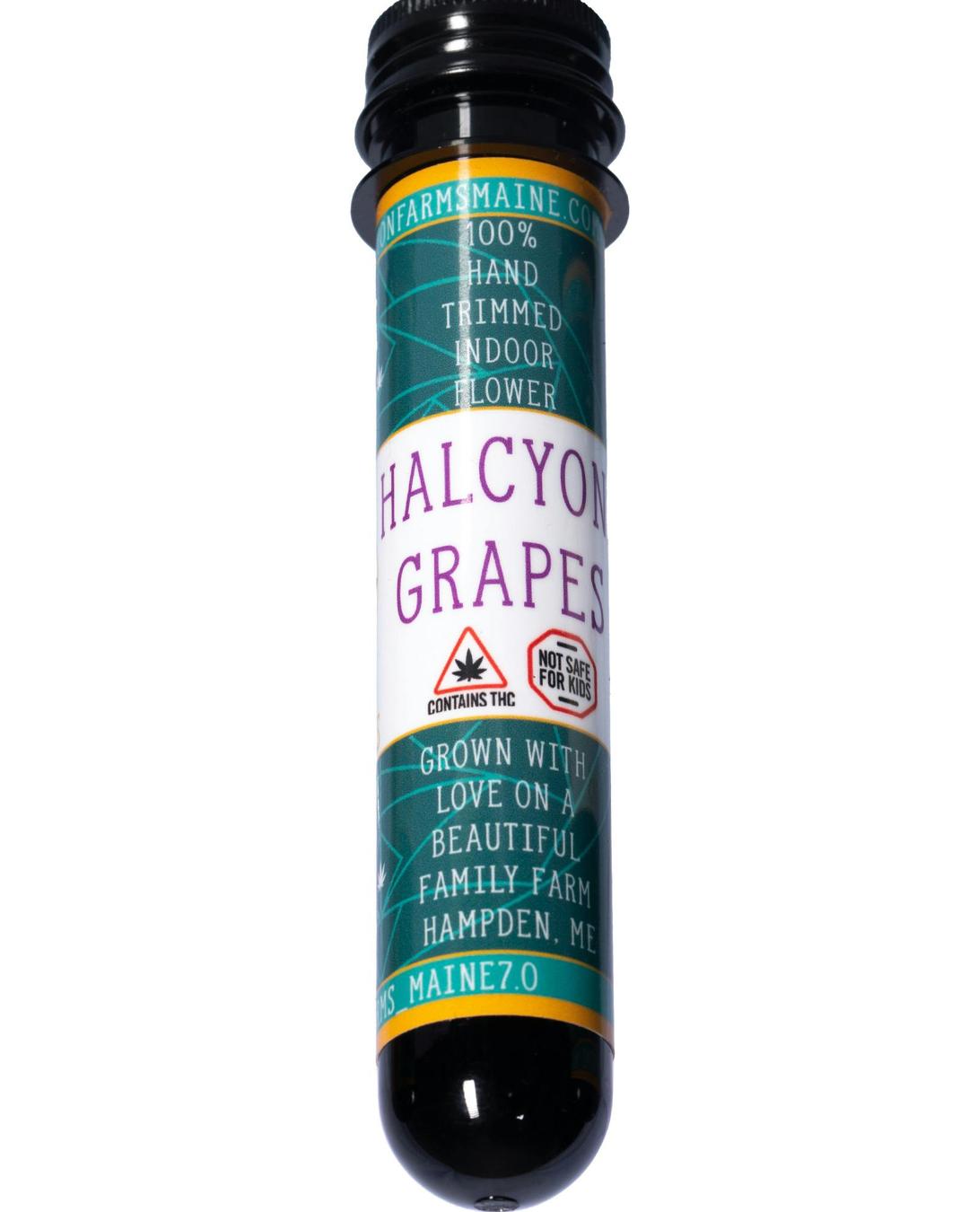 1g Halcyon Grapes Preroll