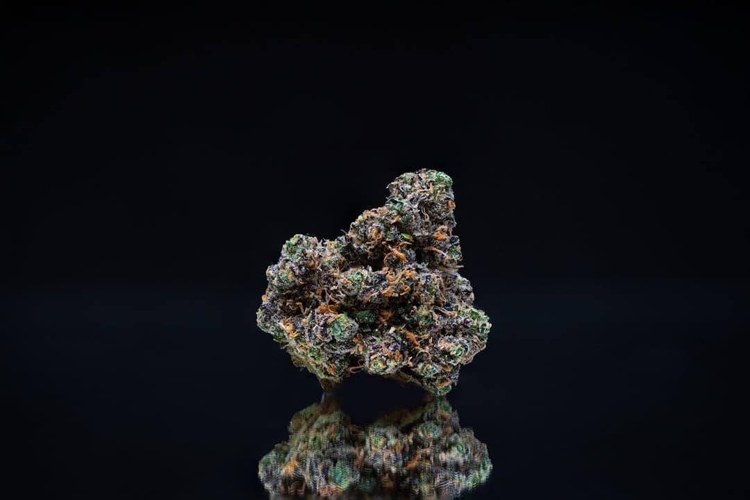 Sour Runtz 3.5g