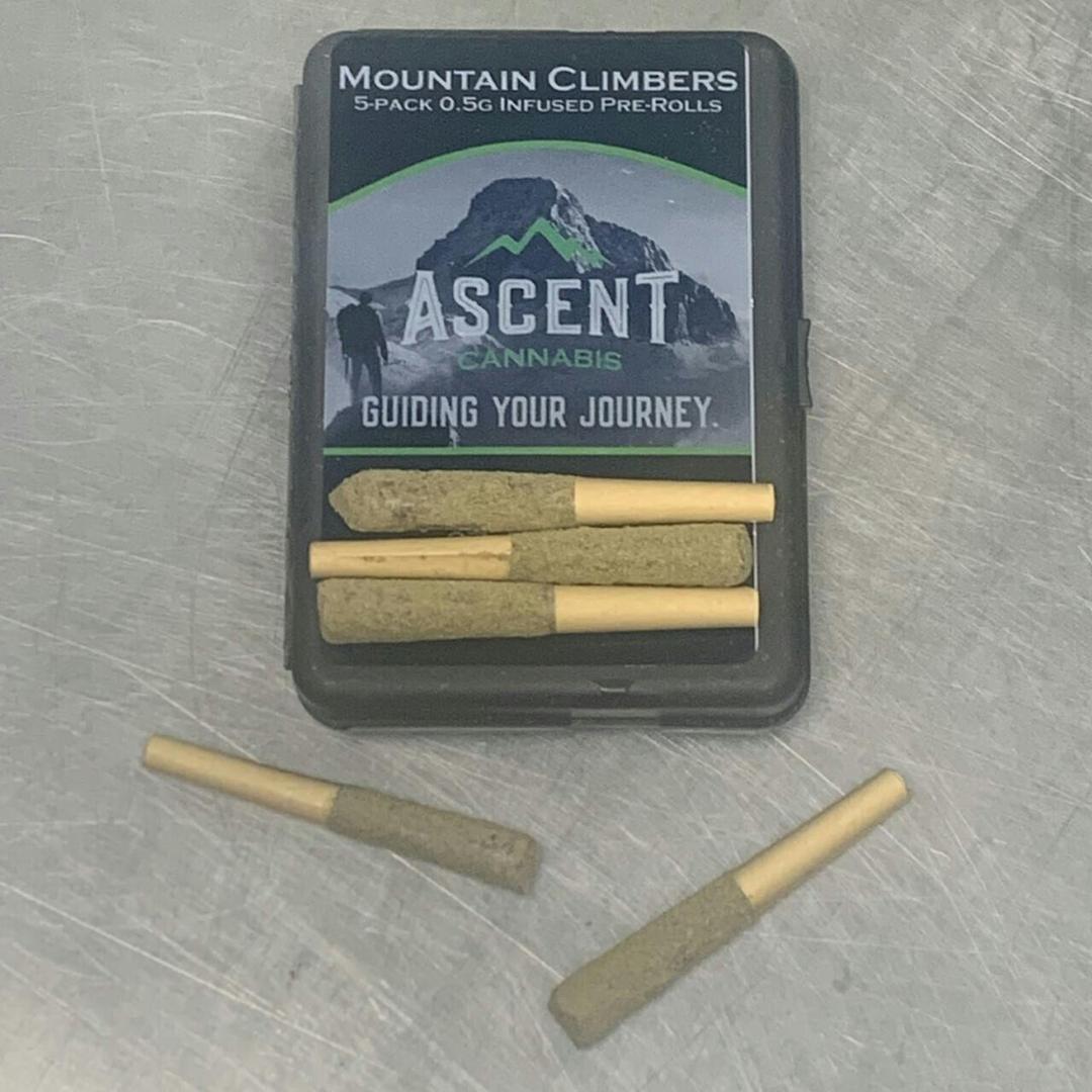 Ascent Cannabis - 5 .5G Infused Prerolls - Thunder Diesel