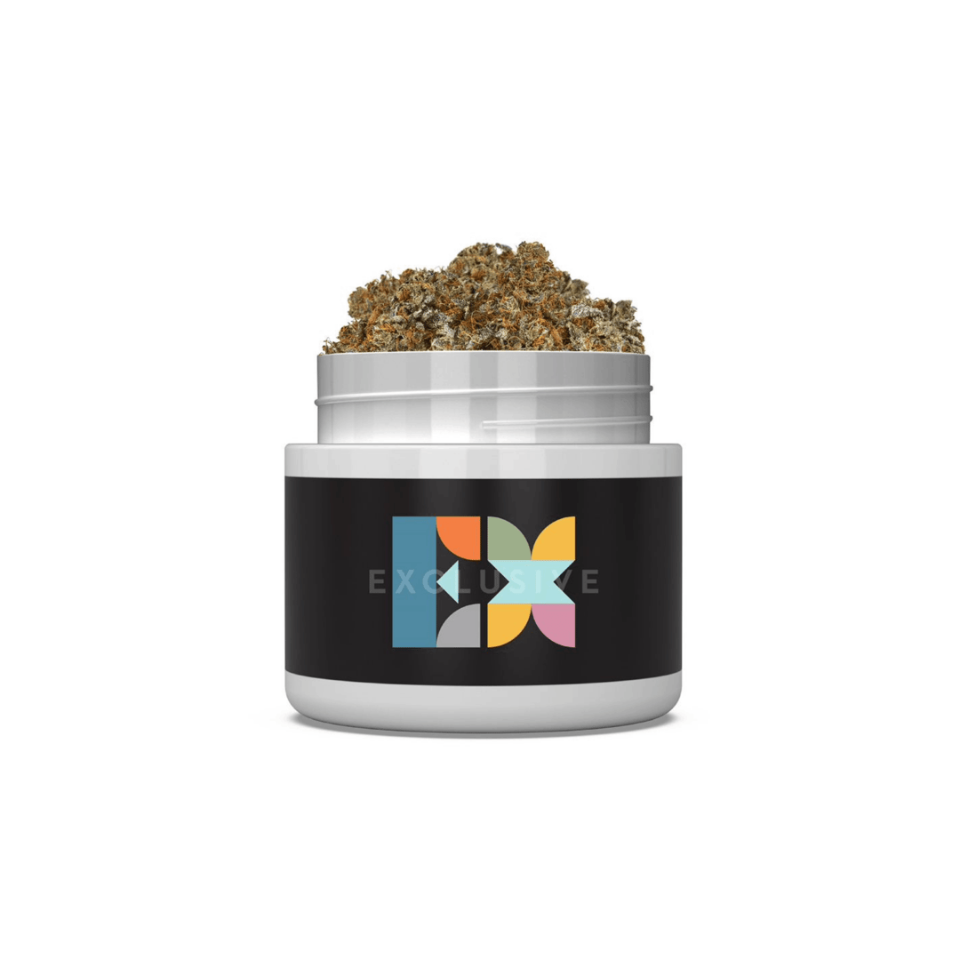 Lemon Shandy | Exclusive Flower