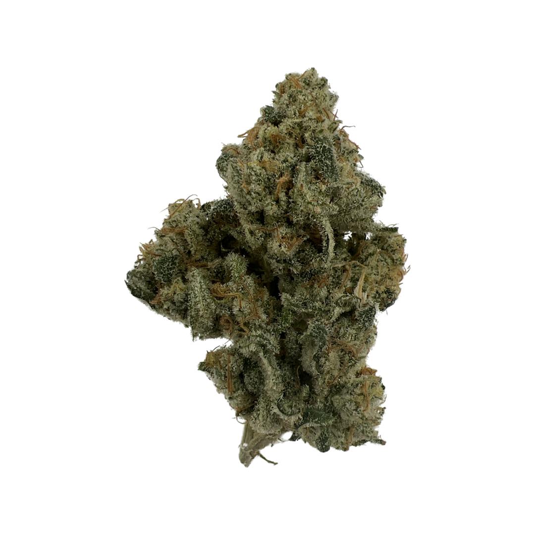 Biscotti Kush