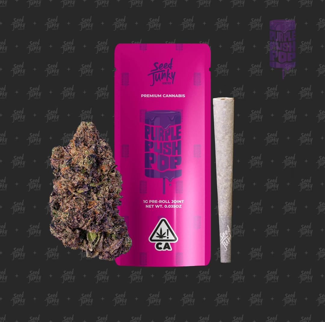 Purple Push Pop (1G Pre-Roll)