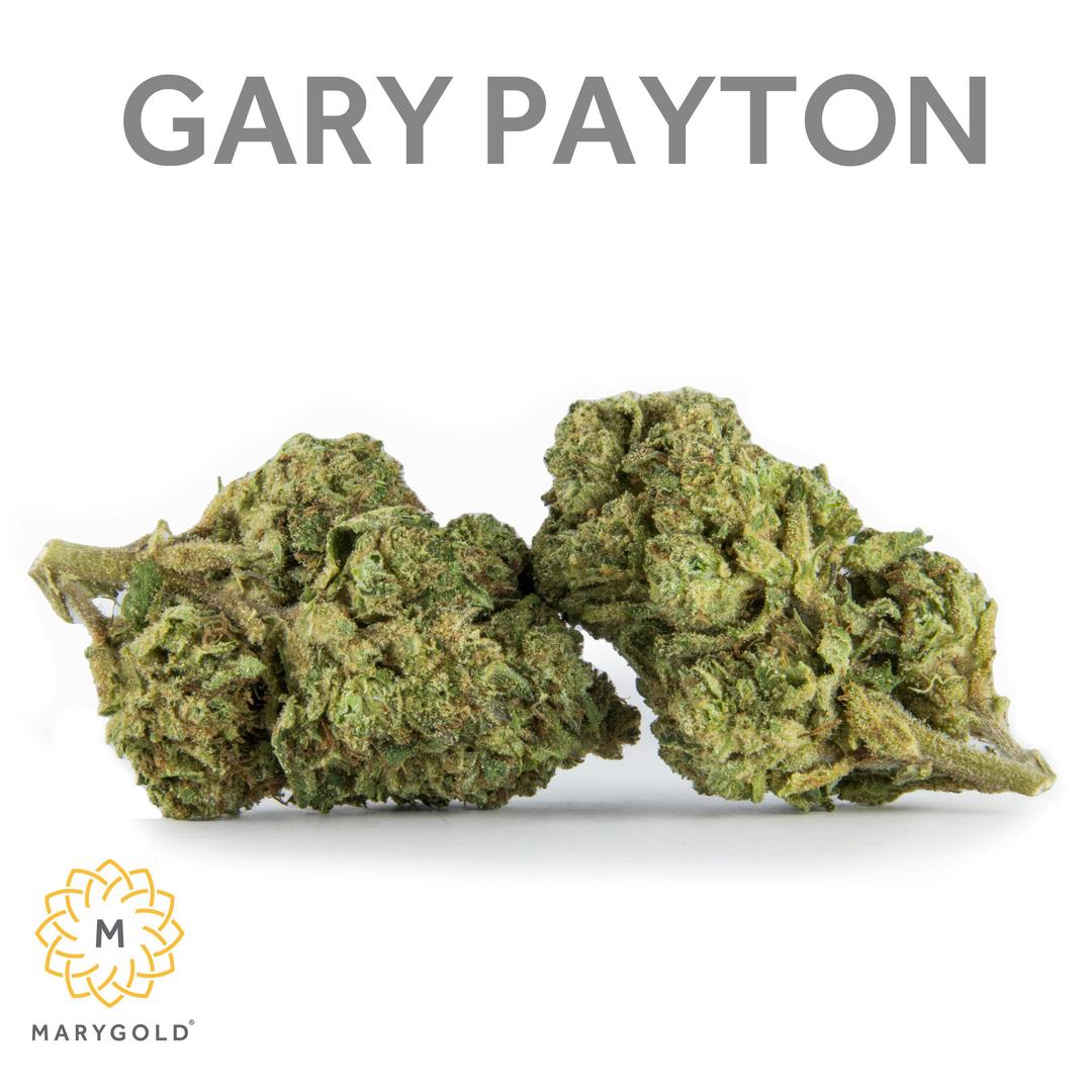 Gary Payton 14g (33% THC Sativa)